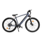 ADO DECE 300C Electric Bike