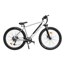 ADO DECE 300C Electric Bike