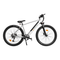 ADO DECE 300C Electric Bike