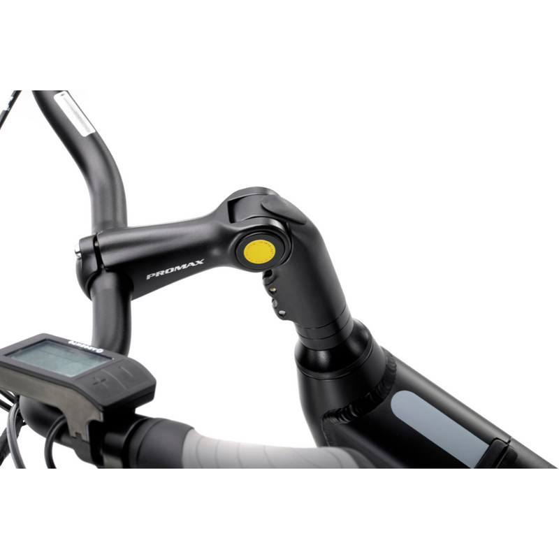 ARGENTO OMEGA Plus E-Bike