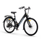 ARGENTO OMEGA Plus E-Bike