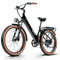 CEAYA AZ26 Step-Thru Electric Bike