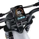 COSWHEEL CT20S Electric Bike