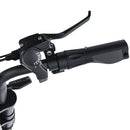 COSWHEEL CT20S Electric Bike