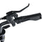 COSWHEEL CT20S Electric Bike