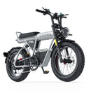 COSWHEEL CT20S Electric Bike