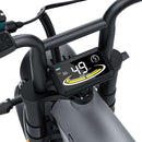 COSWHEEL CT20 Electric Bike