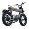COSWHEEL CT20 Electric Bike