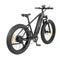 DYU King 750 Fat Tyre Electric Bike