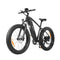 DYU King 750 Fat Tyre Electric Bike