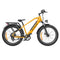 ENGWE E26 - High-Performance All-Terrain Electric Bike