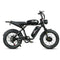 SAMEBIKE M20-III Dual Battery Fat Tyre Electric Bike